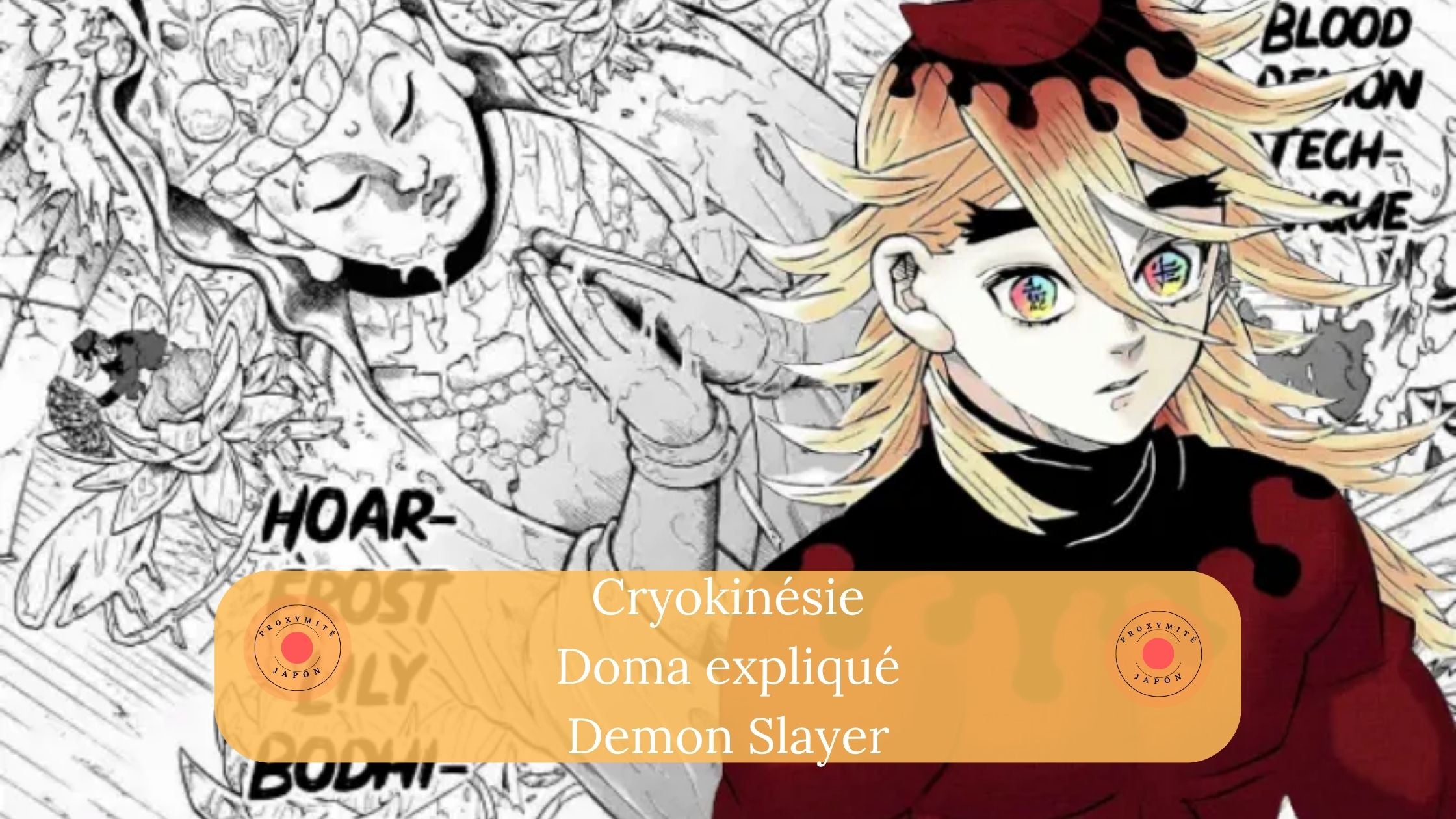 Cryokinesis: the art of the bloody demon Doma explained in Demon Slaye –  Proxymite Japon