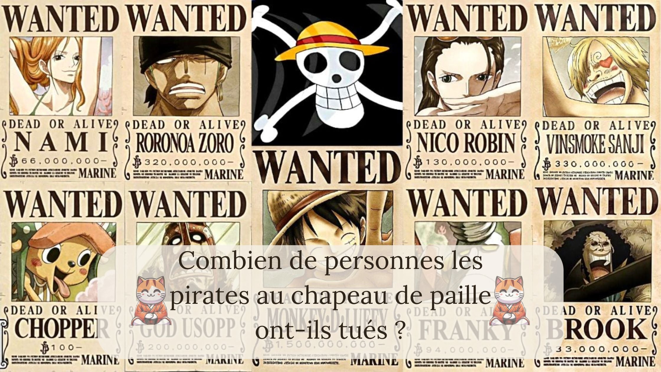 Combien de personnes les pirates au chapeau de paille ont-ils tués ?