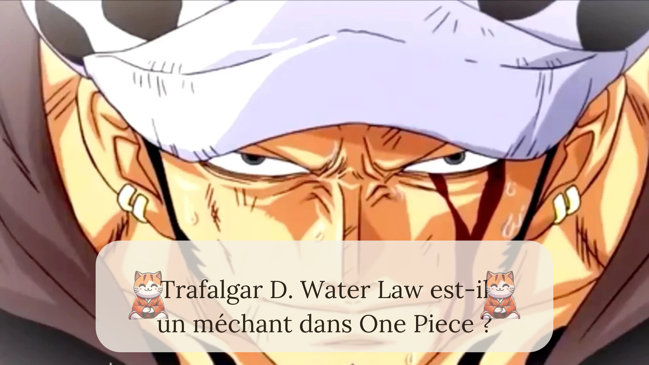 Trafalgar D. Water Law est-il un méchant dans One Piece ?