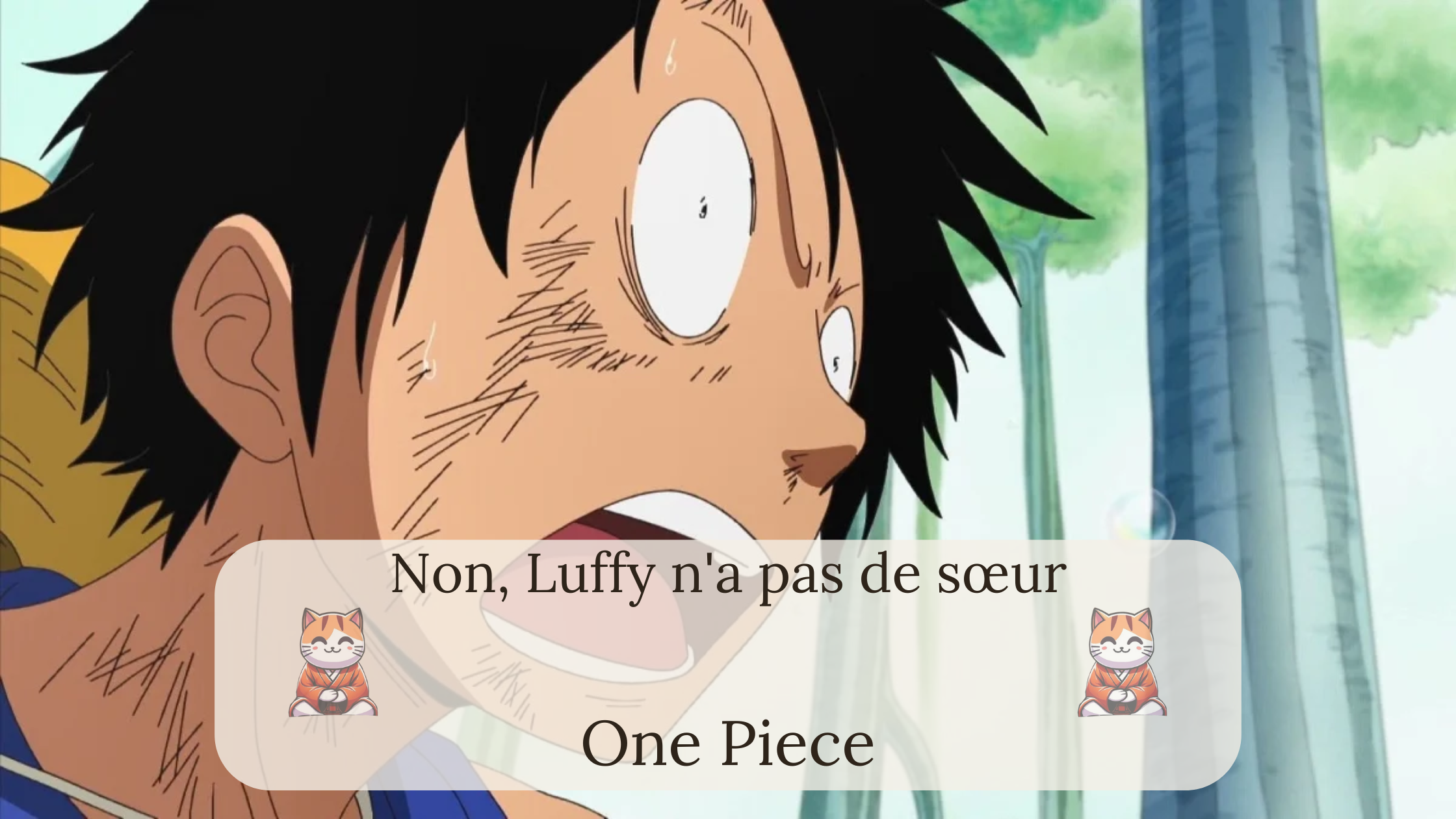 Non, Luffy n'a pas de sœur dans "One Piece"