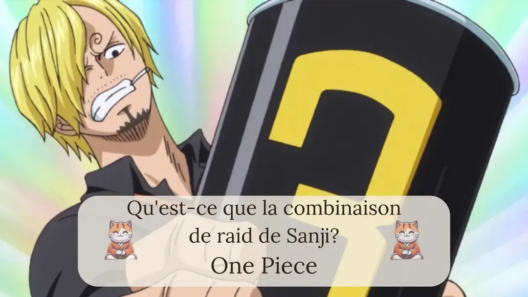 Qu'est-ce que la combinaison de raid de Sanji?