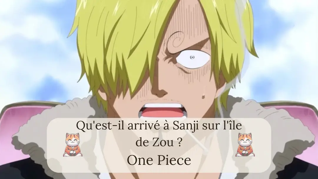 Qu'est-il arrivé à Sanji sur l'île de Zou ?