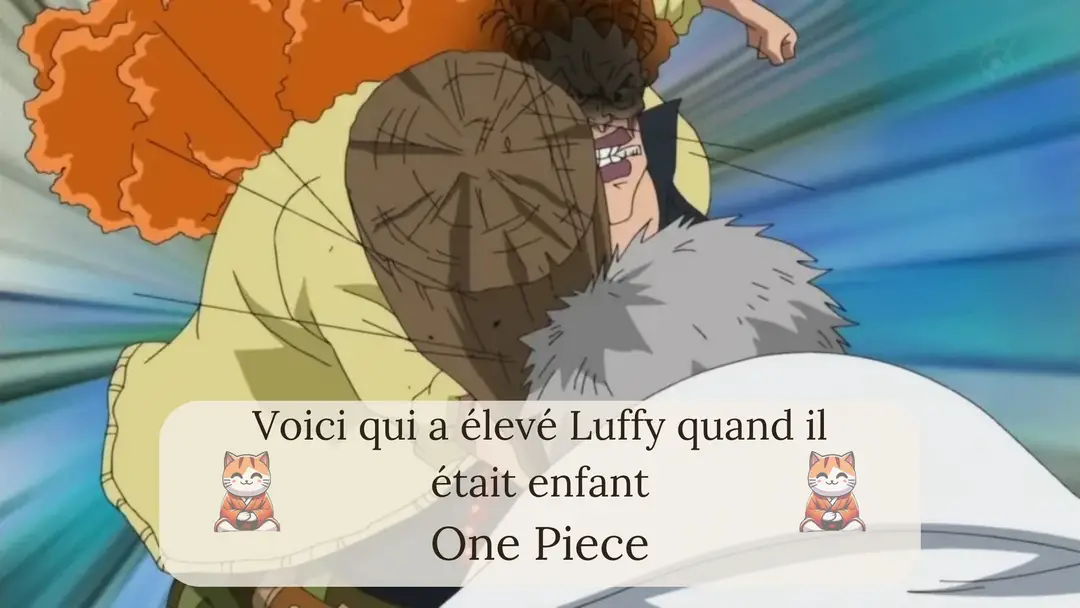 Voici qui a élevé Luffy quand il était enfant