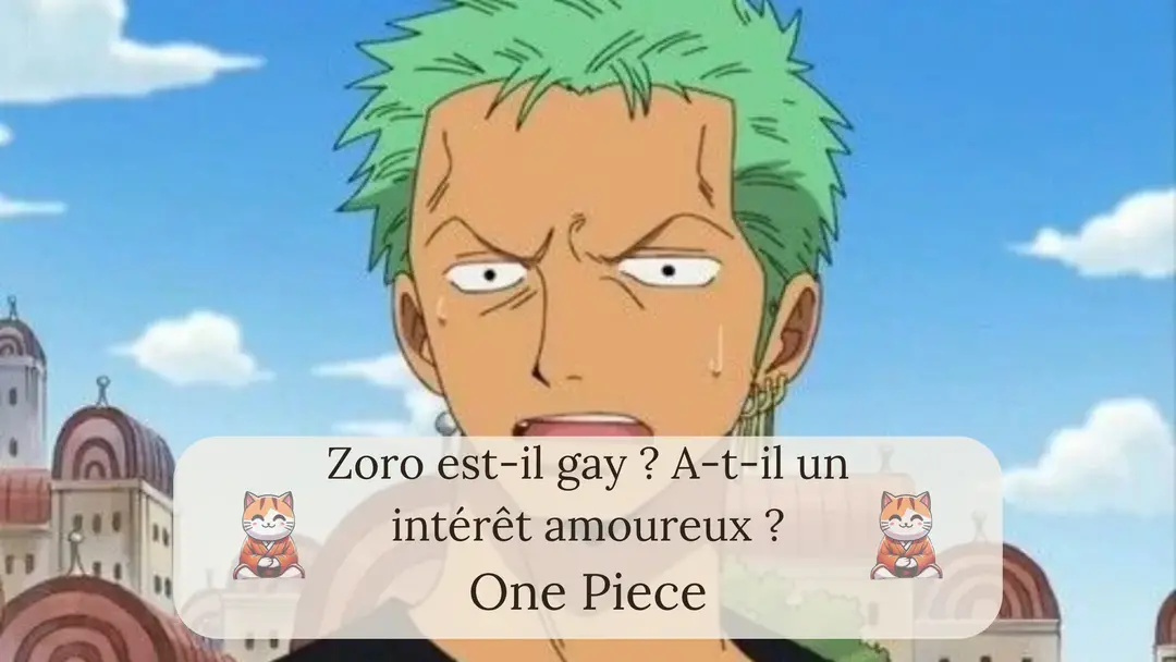 Zoro est-il gay ? A-t-il un intérêt amoureux ?