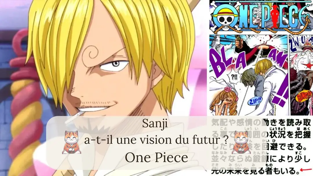 Sanji a-t-il une vision du futur ?