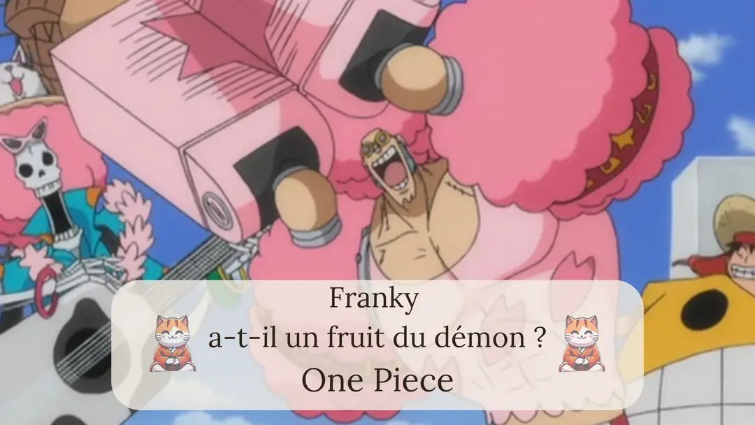 Franky a-t-il un fruit du démon ?