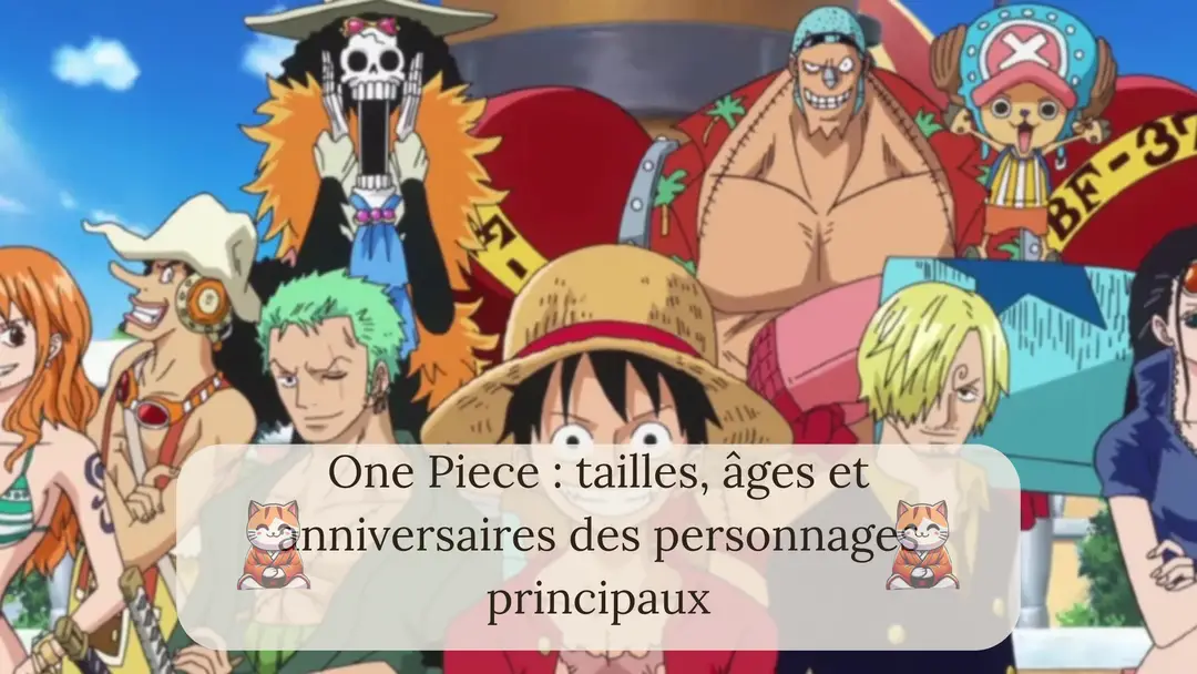 One Piece : tailles, âges et anniversaires des personnages principaux