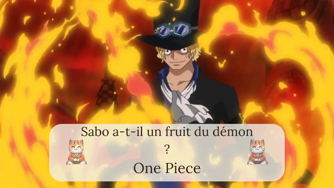 Sabo a-t-il un fruit du démon ?