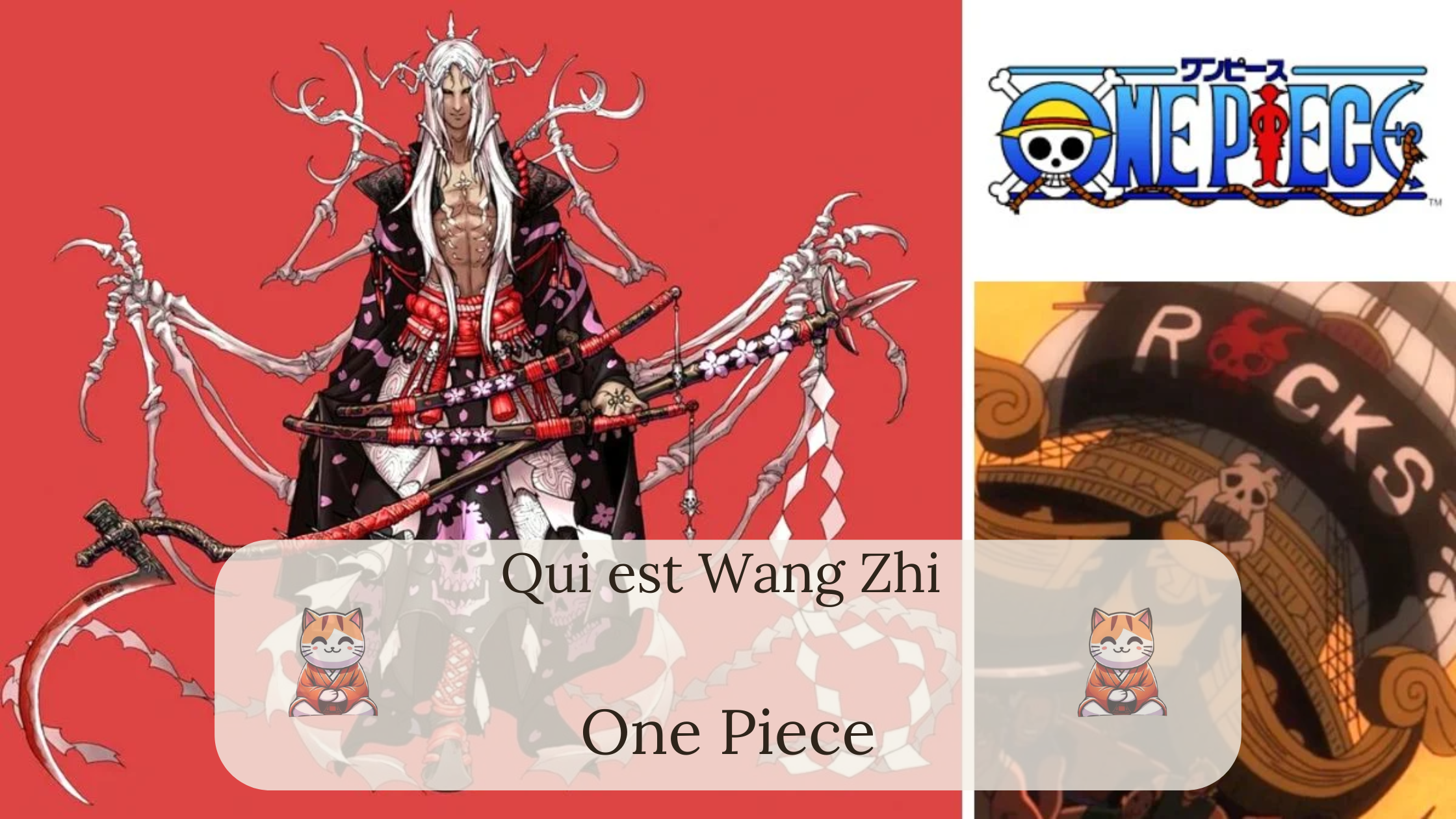 Qui est Wang Zhi dans One Piece ?
