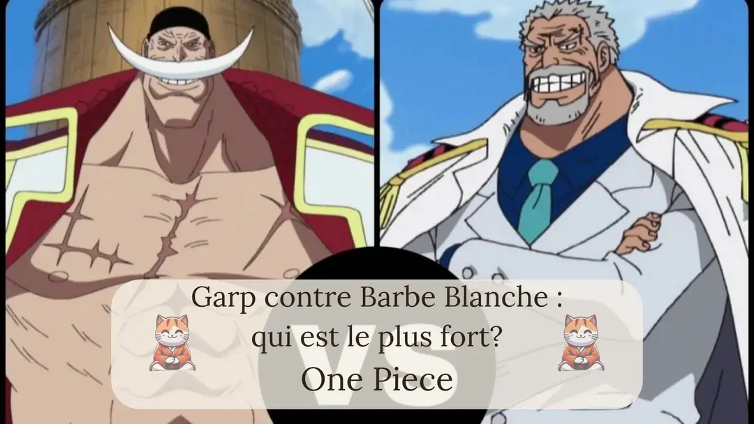 Garp contre Barbe Blanche : qui est le plus fort?