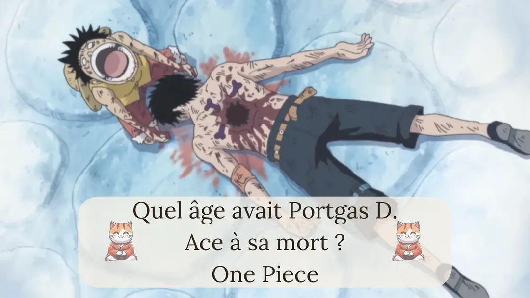 Quel âge avait Portgas D. Ace à sa mort ?