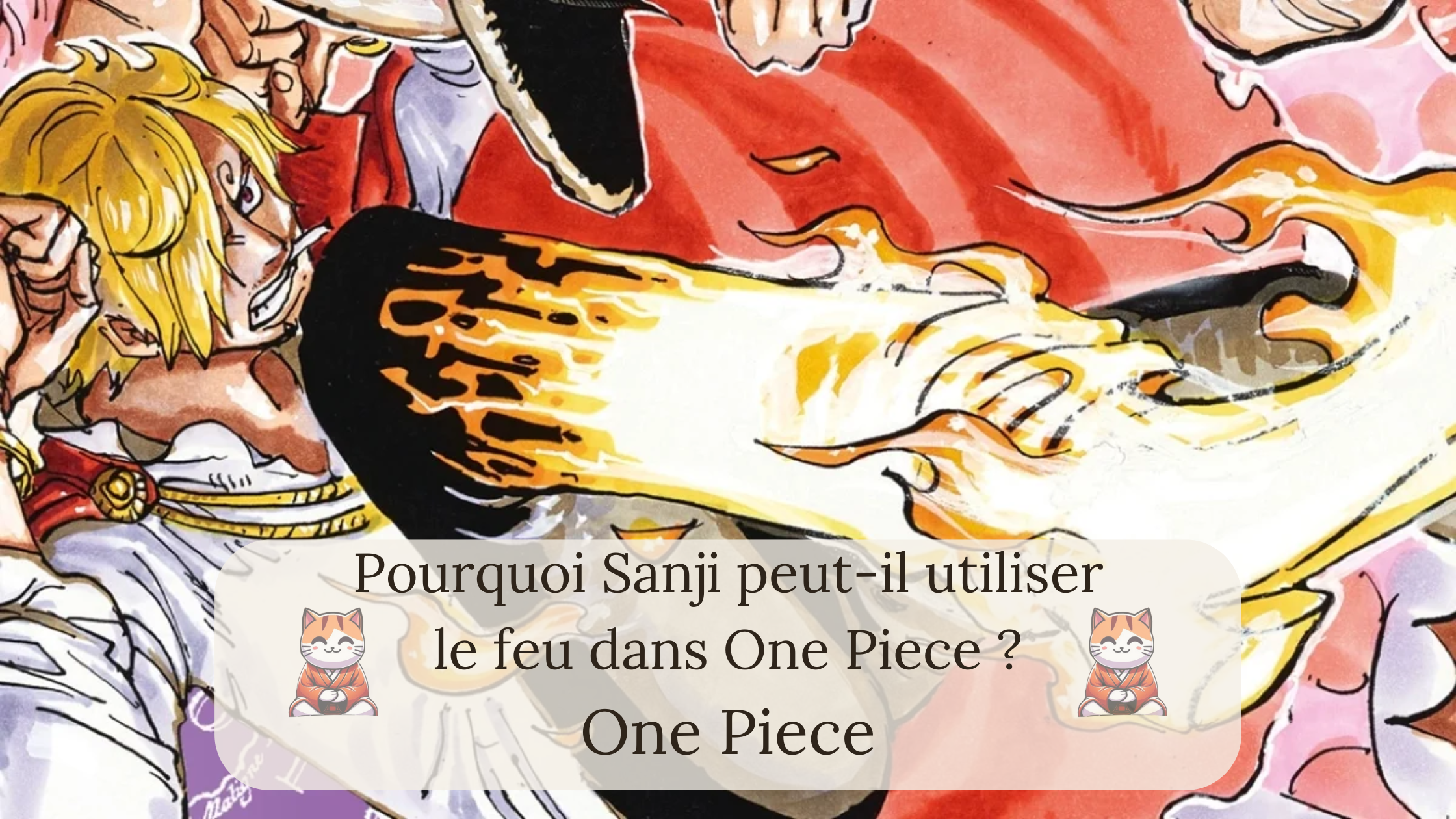 Pourquoi Sanji peut-il utiliser le feu dans One Piece ?