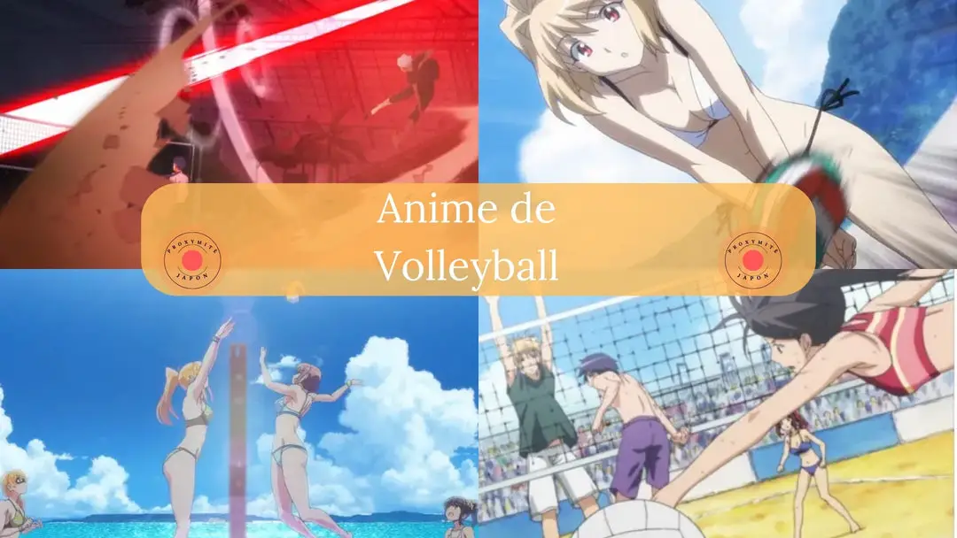 Existe-t-il des anime de beach-volley ?