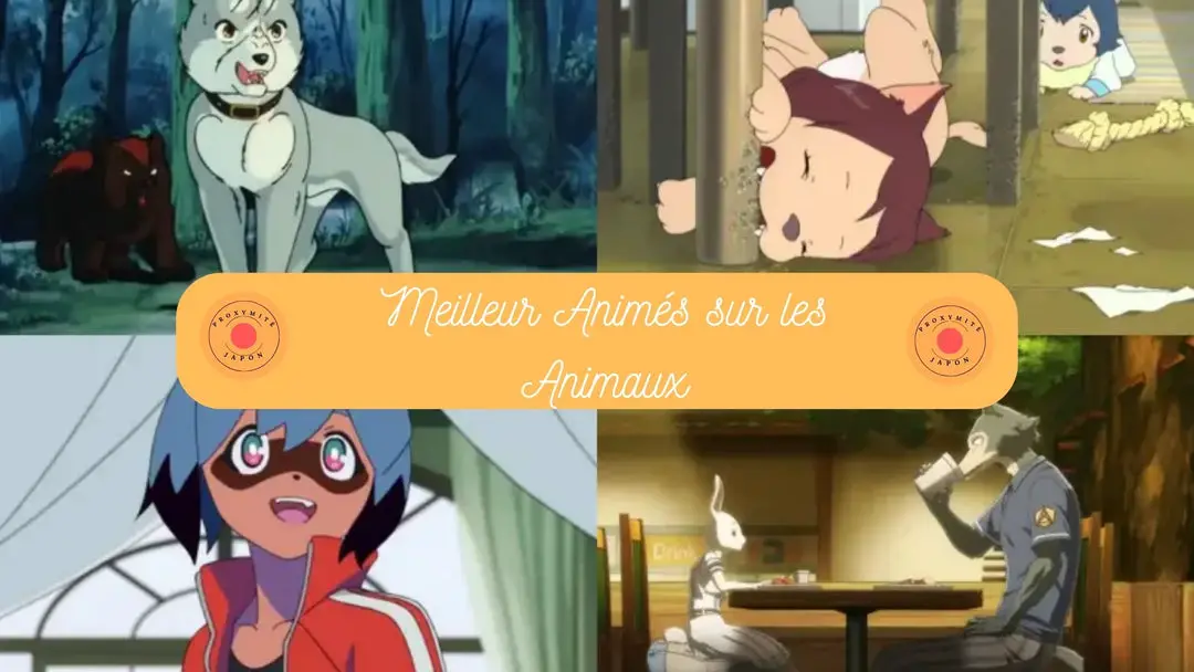 Les 15 meilleurs animes sur les animaux à regarder cet hiver (2024)