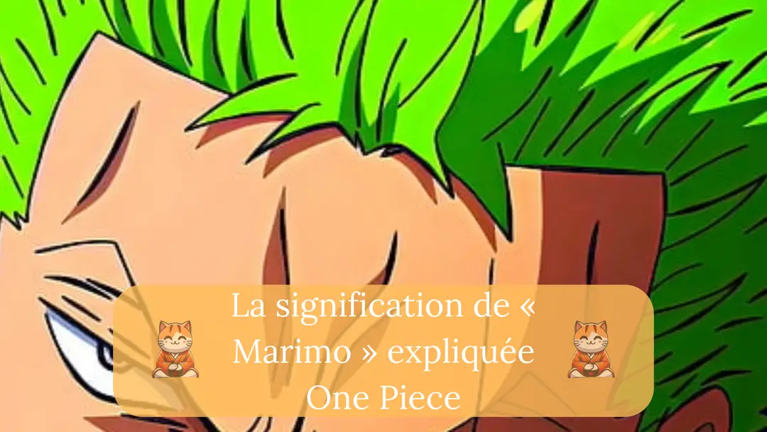 One Piece : la signification de « Marimo » expliquée !