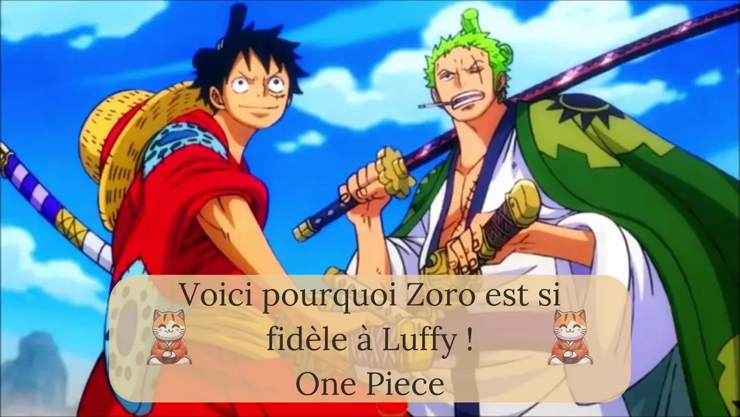 Voici pourquoi Zoro est si fidèle à Luffy !