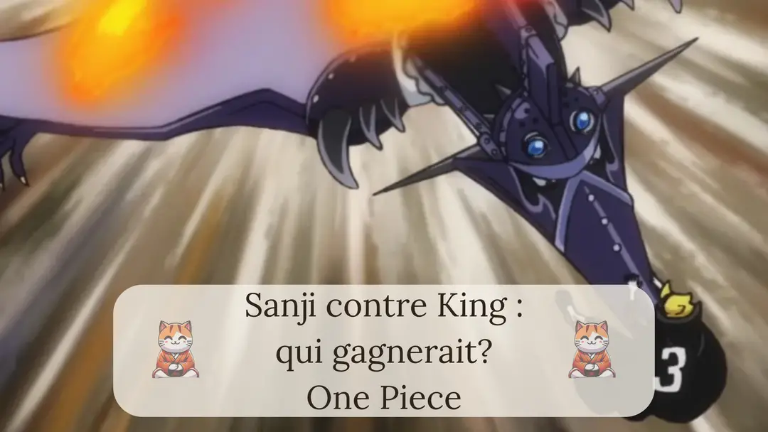 Sanji contre King : qui gagnerait dans un combat ?