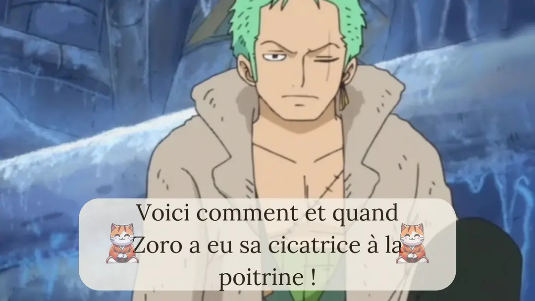 Voici comment et quand Zoro a eu sa cicatrice à la poitrine !