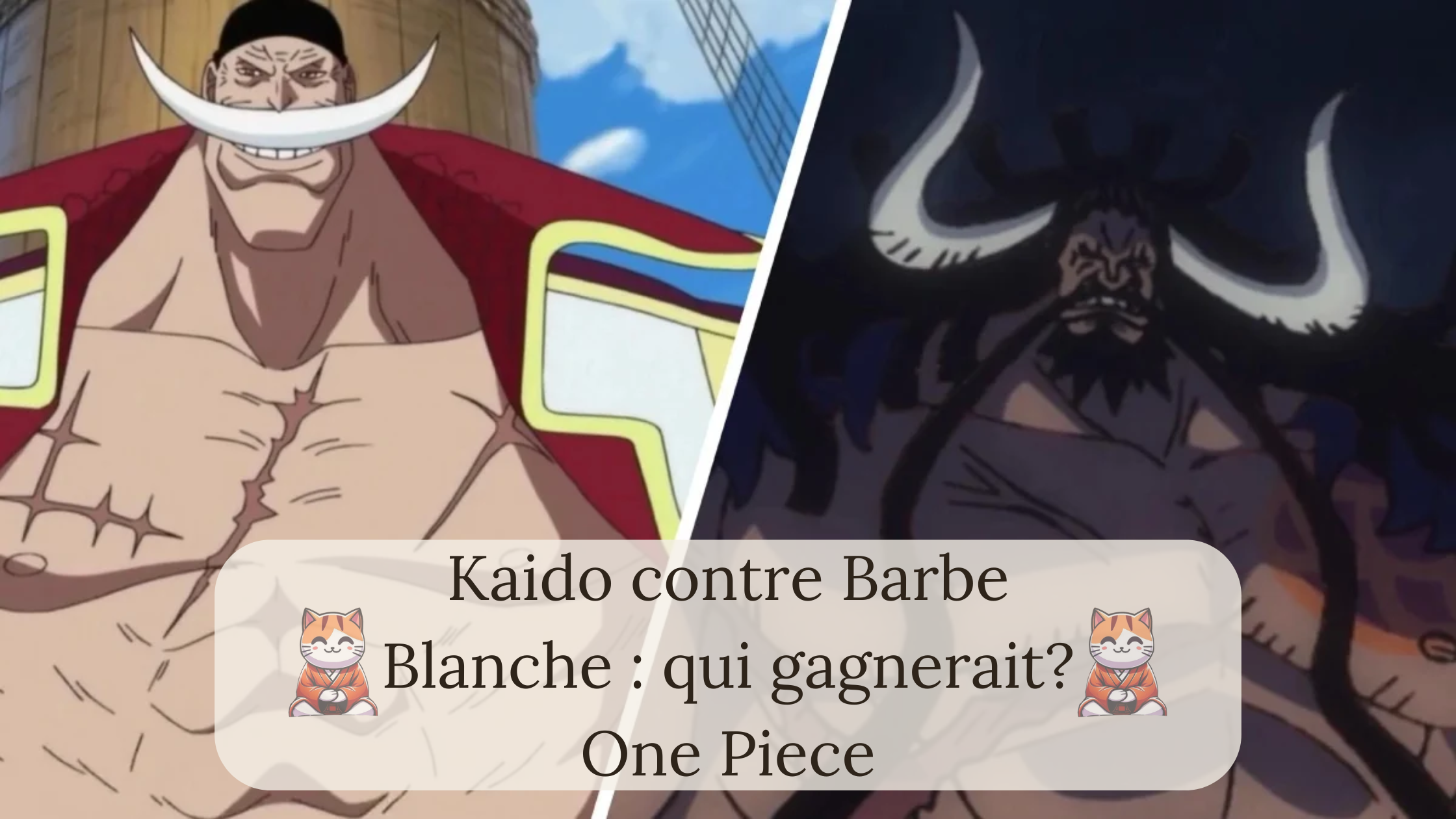 Kaido contre Barbe Blanche : qui gagnerait?