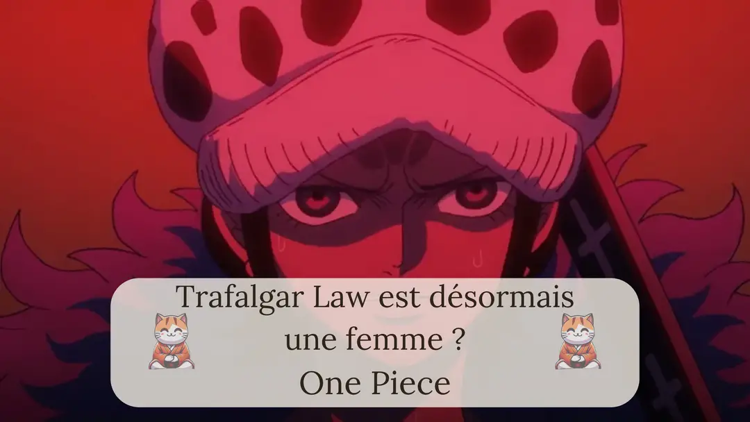 Trafalgar Law est désormais une femme ? Comment est-ce arrivé?!