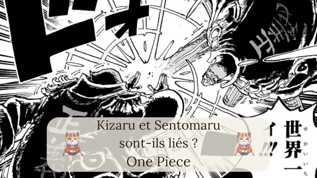 Kizaru et Sentomaru sont-ils liés ?