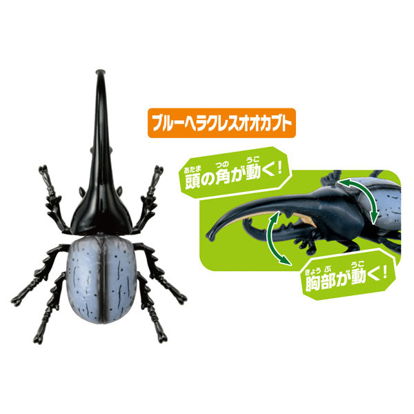 Ania AA-05 World Insect Champion Set