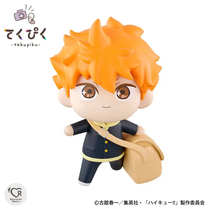 TakePic Shoyo Hinata "Haikyuu!!"