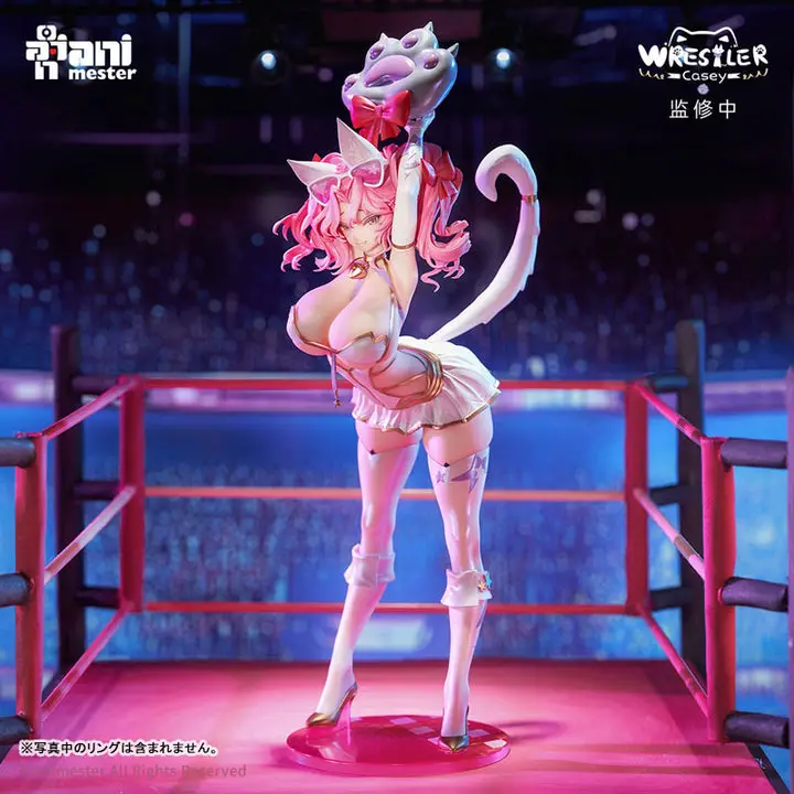 NyanNyan Girl Wrestler Casey 1/6