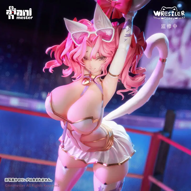 NyanNyan Girl Wrestler Casey 1/6