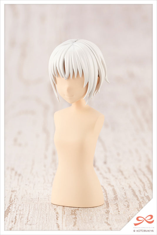 Sousai Shoujo Teien After School Short Wig A [White & Chocolate Brown] 1/10 Plastic Model