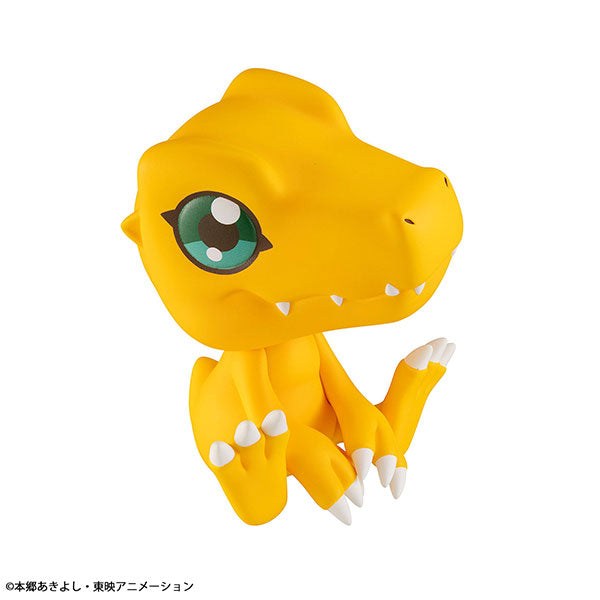 LookUp Digimon Adventure Agumon 