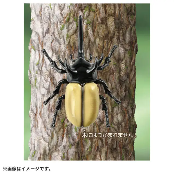 Ania AS-41 Five-horned Beetle