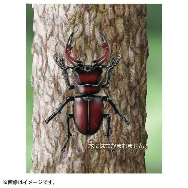 Ania AS-43 Sawtooth Stag Beetle