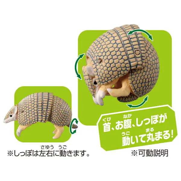 Ania AS-45 Armadillo (Brazilian Three-banded Armadillo)