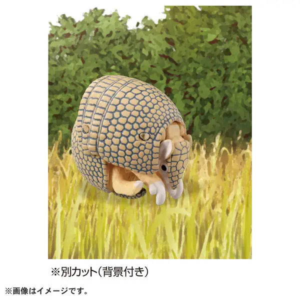 Ania AS-45 Armadillo (Brazilian Three-banded Armadillo)