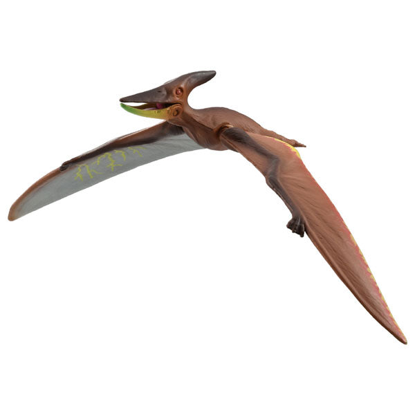 Adventure Continent Ania Kingdom Pteira (Pteranodon)