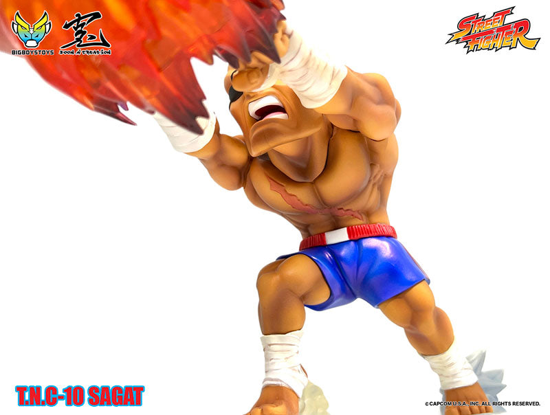 Street Fighter T.N.C-10- Sagat 