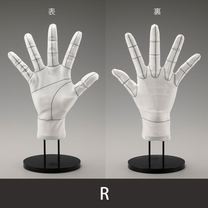 ARTIST SUPPORT ITEM Hand Model Glove /R -Wireframe-