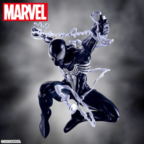 Black Costume Spider -Man